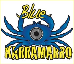 20 Blue Karramarro