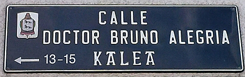 Calle Doctor Bruno Alegría-3